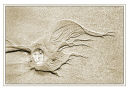 Sand Pattern